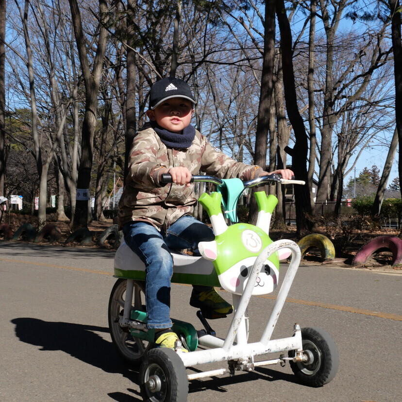 おもしろ自転車が驚くほど種類豊富！ 親子で乗れば絆も深まる【川本サングリーンパーク】（埼玉・深谷市）