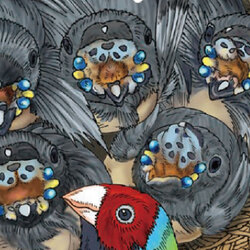 托卵したい鳥 vs 托卵を防ぎたい鳥、勝つのは？「子育て法がびっくりな鳥」3選｜クセがすごすぎる鳥#2