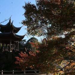 【鹿児島県いちき串木野市】紅葉を巡る観光周遊バスの魅力、隠れた名品のふるさと納税返礼品とは? 