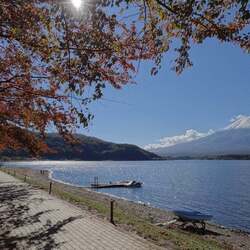 自然と人が調和した山梨県富士河口湖町で暮らす魅力、移住者が手掛けるふるさと納税返礼品とは? 