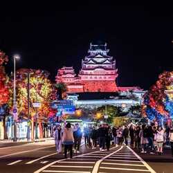 【兵庫県姫路市】駅前からお城周辺まで25万球のLEDが彩るイベント、人気のふるさと納税返礼品とは? 