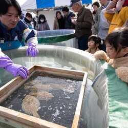 【茨城県鹿嶋市】観光しながら学べる栽培漁業施設、FM生放送の体験型ふるさと納税返礼品とは?  