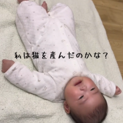 【私は猫を生んだのかな？】泣き声が完全に「にゃ〜」な赤ちゃんがかわいすぎる♡