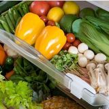 冷蔵庫の野菜室収納のコツは紙袋・ボックス・ペットボトル！？