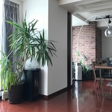 生活感の出ない美しいリビングのつくり方。引き算の発想ですっきりと！