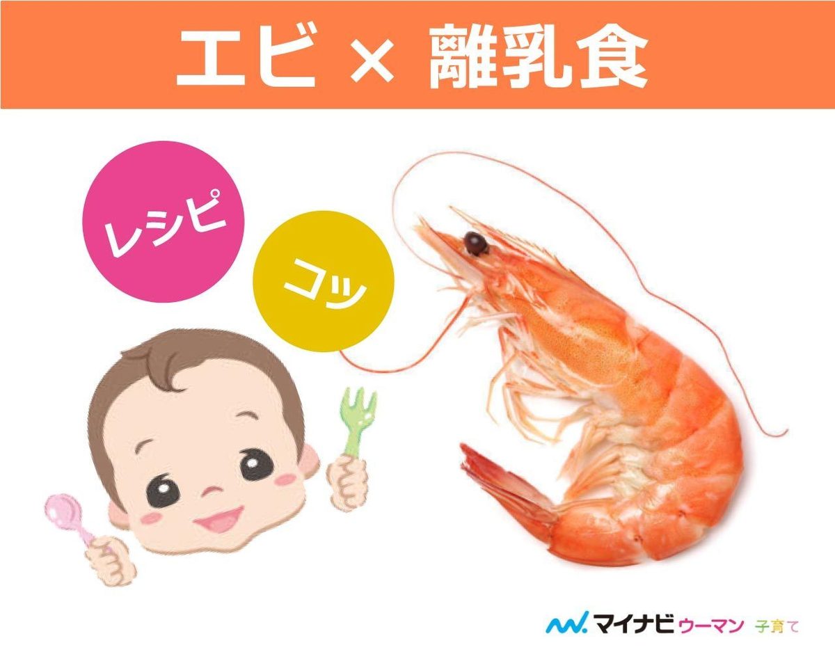 えび 何 歳 から